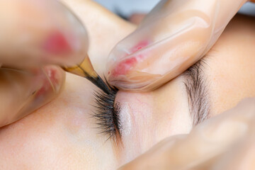 close-up shading of permanent makeup eyelid tattooing - obrazy, fototapety, plakaty