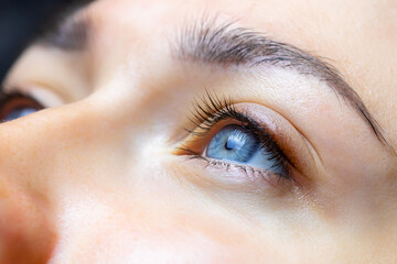 Fototapeta na wymiar close-up of the finished work of permanent makeup of eyelashes and eyelid
