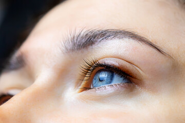 close-up of the finished work of permanent makeup of eyelashes and eyelid