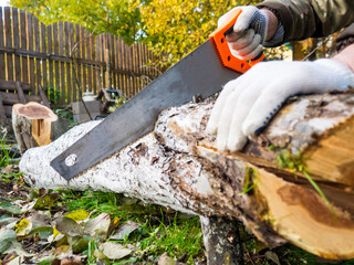 The process of manual sawing of a log. Saw and the end of a tree close up. A man cuts a tree trunk with a hand saw