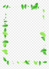 Green Greenery Background Transparent Vector. Sheet Wild Design. Organic Texture. Greenish Set Card. Foliage Spring.