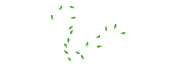 Greenish Leaf Background White Vector. Greenery Decoration Frame. Set Texture. Green Vitality Design. Leaves Woods.