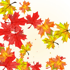 Obraz premium Brown Foliage Background Beige Vector. Plant Seasonal Template. Golden Design Leaf. Flying Leaves Texture.