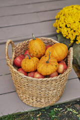 Autumn harvest terrace background. Halloween. Country. Pumpkins and flowers. Vacation home. Thanksgiving Day