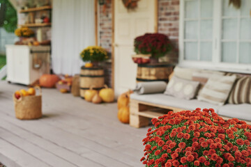 Autumn harvest terrace background. Halloween. Country. Pumpkins and flowers. Vacation home. Thanksgiving Day
