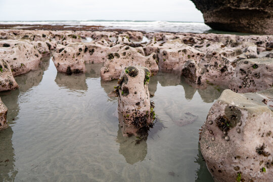 Paturau Beach, Anatori, Mangarakau, South Island, New Zealand