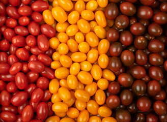 Long Plum Tomato Group Isolated, Fresh Small Cherry Tomatoes