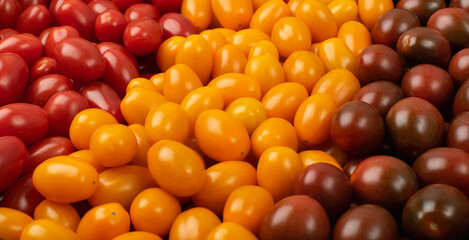 Long Plum Tomato Group Isolated, Fresh Small Cherry Tomatoes