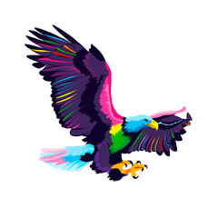 Flying bald eagle from multicolored paints. Splash of watercolor, colored drawing, realistic. Vector illustration of paints