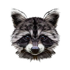 Portrait of a raccoon head from multicolored paints. Splash of watercolor, colored drawing, realistic. Vector illustration of paints - obrazy, fototapety, plakaty