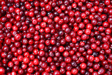 Cranberry. Cranberry background. Cranberries in water. Food background.