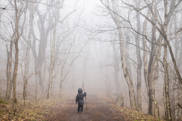 The boy walks through the misty mysterious forest with a stick in search of mushrooms.