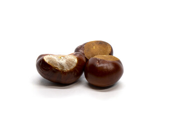 Three chestnuts on a white background