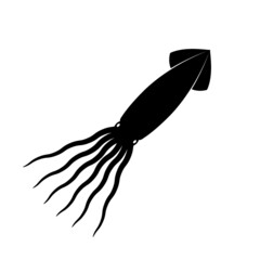 Obraz premium squid vector illustration black icon