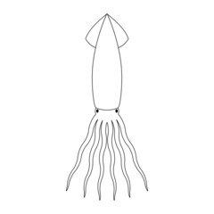 squid vector illustration linear icon