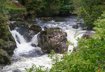 Fototapeta premium white foaming water cascading over the Waterfall at pont-y-pair bridge on the Afon Llugwy, Betws-y-coed, Snowdonia National Park, Wales UK