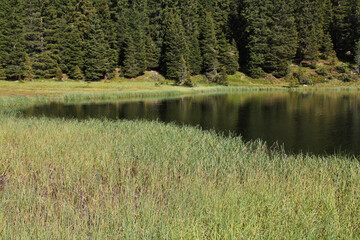 Fototapeta premium il Lago Cece; Catena del Lagorai, Trentino