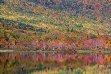 autumn landscape with lake and trees