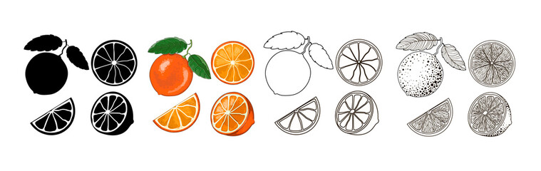 Four sets of oranges - black silhouette, cartoon, doodle and outline style. One orange on a branch with two leaves, half and two slices isolated on a white background. Vector