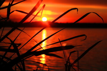 Zachód słońca nad jeziorem. Sunset on the lake. - obrazy, fototapety, plakaty
