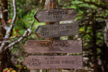 Hiking trail sign in forest