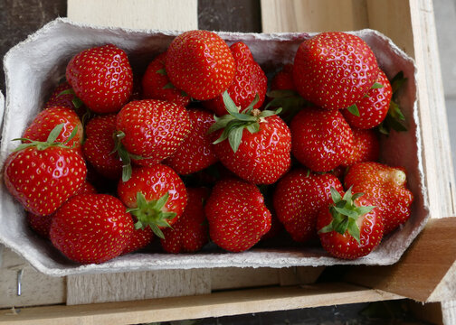 Basket with strawberries.