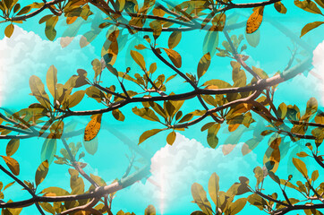 Aqua cloud in the trees seamless print