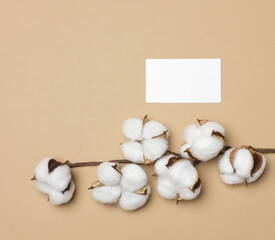 empty white rectangular business card on a brown background, company branding, address. View from above