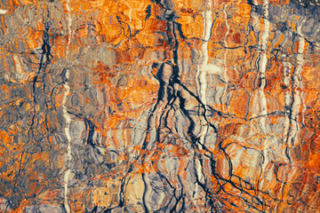 Reflection of autumn trees in water. Colorful red leaves, bright autumn colors. Natural background