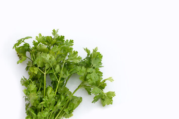 Fresh coriander leaves on white background.