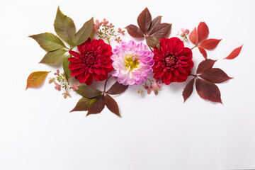 floral layout from red and lilac dahlias and wild grape leaves isolated on white background. Top...