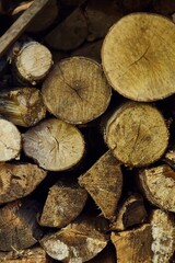 stack of firewood