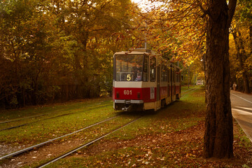 Fototapeta na wymiar Russia, Kaliningrad, 39th region, October 8, 2021. A tram running on rails in autumn.