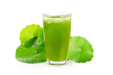 Glass of gotu kola juice ( Centella asiatica ) and leaves isolated on white background.