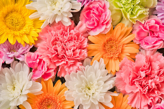 待ち受け Images Browse 1 867 Stock Photos Vectors And Video Adobe Stock