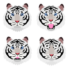 white tiger heads bundle