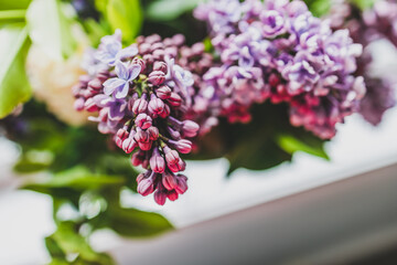close-up of bunch of purple flowers including lillac in vase indoor by the window