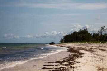 Plaża w Watamu nad Oceanem Indyjskim z wodorostami na brzegu - obrazy, fototapety, plakaty