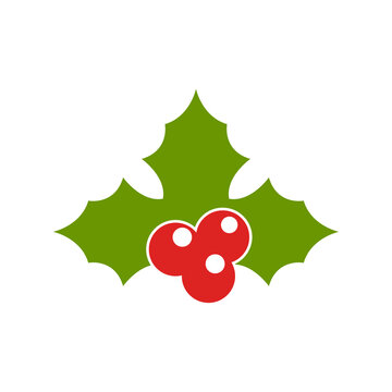 Holly berry christmas icon design isolated on white background