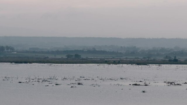 Birds flying early in the morning cold landscape