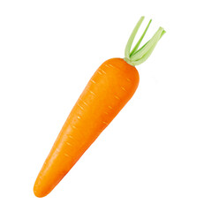 Carrot isolated on white