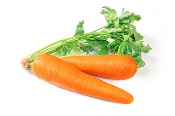 Carrots with celery leaves on a white background.