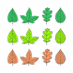 Fototapeta premium types of leaves image graphic icon logo design abstract concept vector stock. Can be used as a symbol related to the nature or plant