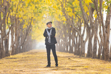 Asian man wearing sweater while walking in the park under the yellow leaves ginkgo tree in autumn...