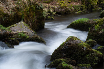 smooth motion of wild water in a river in summer with rocks and stones in the beautiful nature of a forest - triebtal
