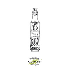 Fototapeta na wymiar Chili flavoured olive oil bottle, hand drawn vector illustration.