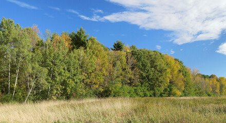 Fototapeta premium Autumn scenery in country environment