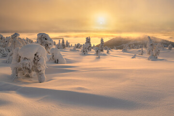 Natural scenery in winter, cold winter in Europe, snow-covered forest. Finland, a popular tourist destination in Europe.