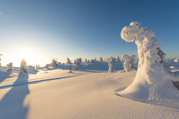 Natural scenery in winter, cold winter in Europe, snow-covered forest. Finland, a popular tourist...