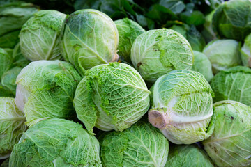 Image of fresh organic salad and cabbage in greengrocery shop